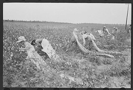 8a23792r-Lake-Dick-Farmers