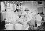 8a16274r-Dyess_Cannery